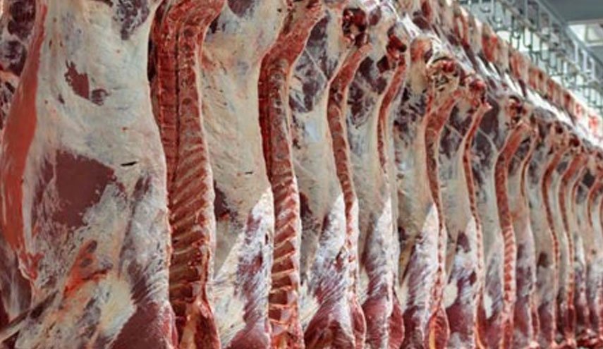 جزئیات عرضه اینترنتی گوشت در پایتخت
