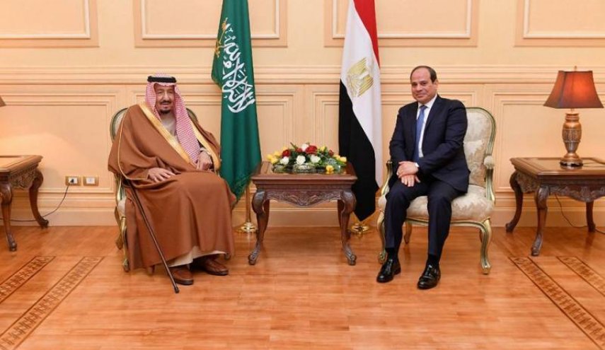 پادشاه عربستان بر تشکیل شورای عربی-آفریقایی تاکید کرد