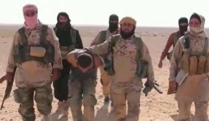 صحيفة: ألمانيا ستنزع الجنسية لمن قاتل في صفوف 