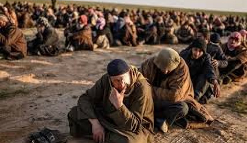تحویل بیش از 200 مصری وابسته به گروههای تروریستی در سوریه به دستگاه اطلاعاتی مصر
