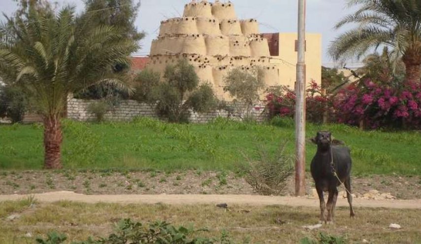 صورة.. لاجئ سوري هرب من الحرب فخسر ابنائه الاثنين بابشع الطرق

