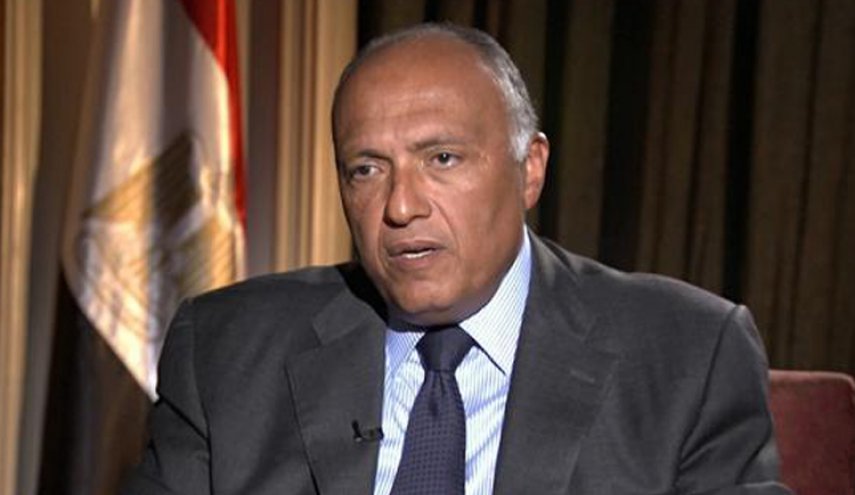 وزير الخارجية المصري: الجولان أرض عربية محتلة من قبل 