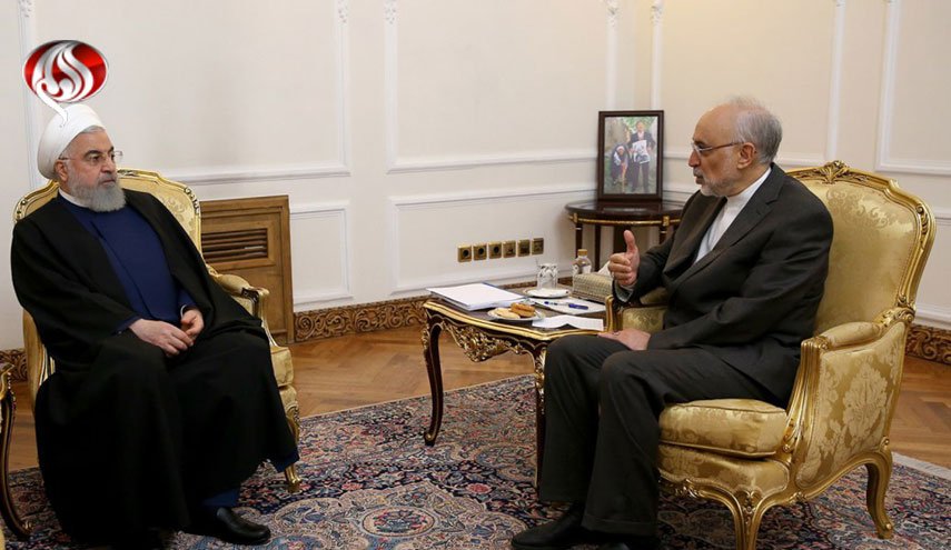 صالحی با روحانی دیدار کرد؛ ارائه گزارش عملکرد سازمان انرژی اتمی