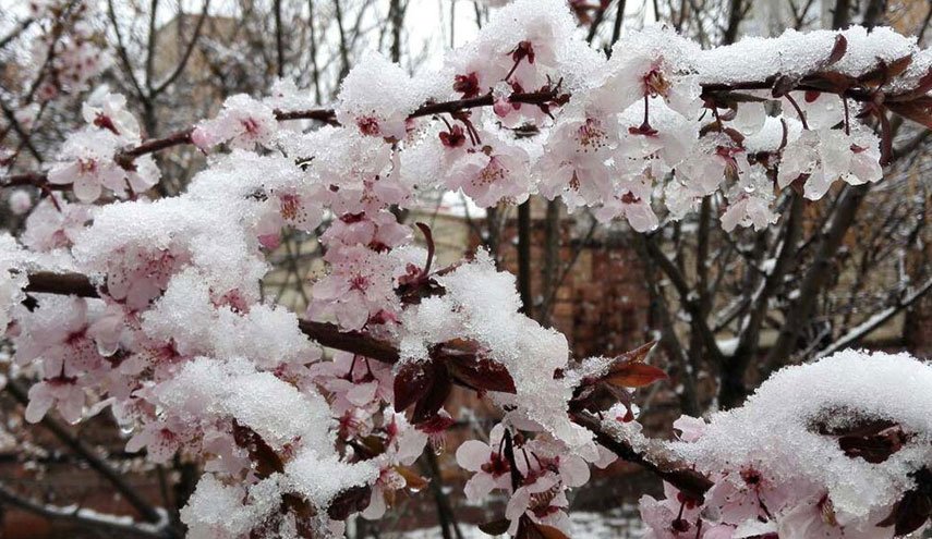 هشدار هواشناسی به کشاورزان/دمای کدام استان‌ها به 