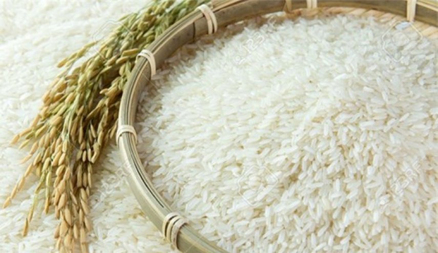 ایران .. توقعات بنمو في انتاج الارز بنحو 20 بالمئة