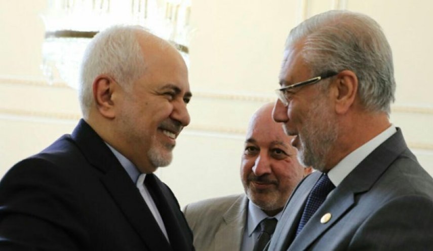 دیدار نایب رئیس مجلس عراق و هیأت همراه با ظریف
