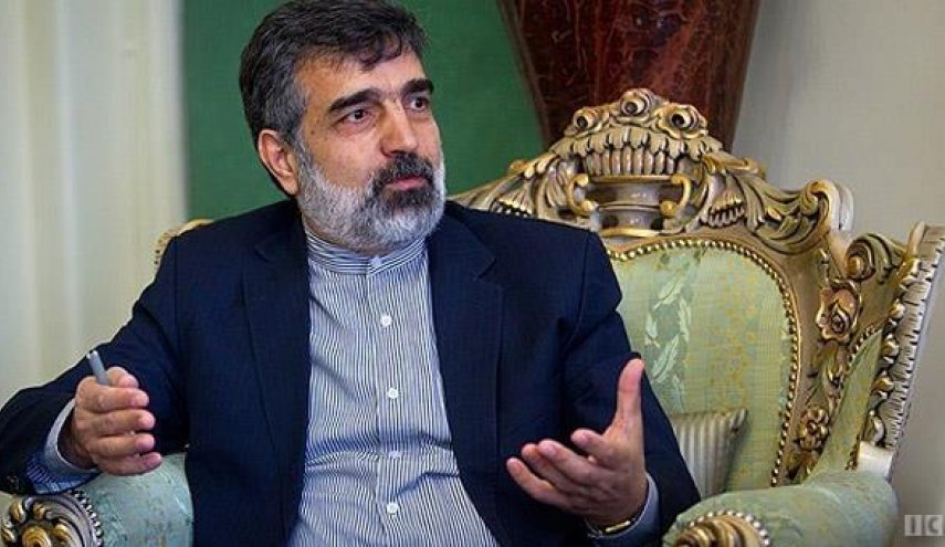 کمالوندی: تعلیق تعهدات برجامی در چارچوب قانون مجلس در حال اجرا است
