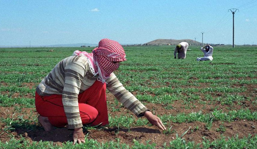 مفاجآت سارّة  بشأن ” بزنس الفقراء” في سورية