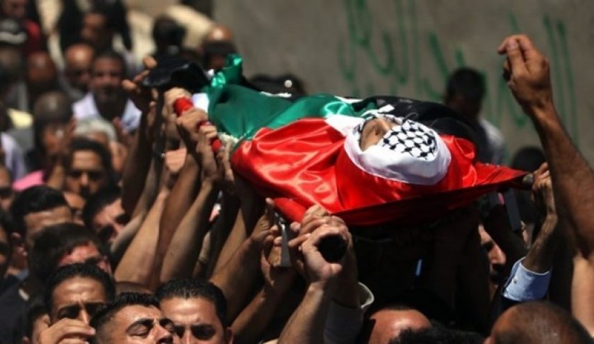 84 فلسطینی در نیمه اول 2019 به شهادت رسیدند
