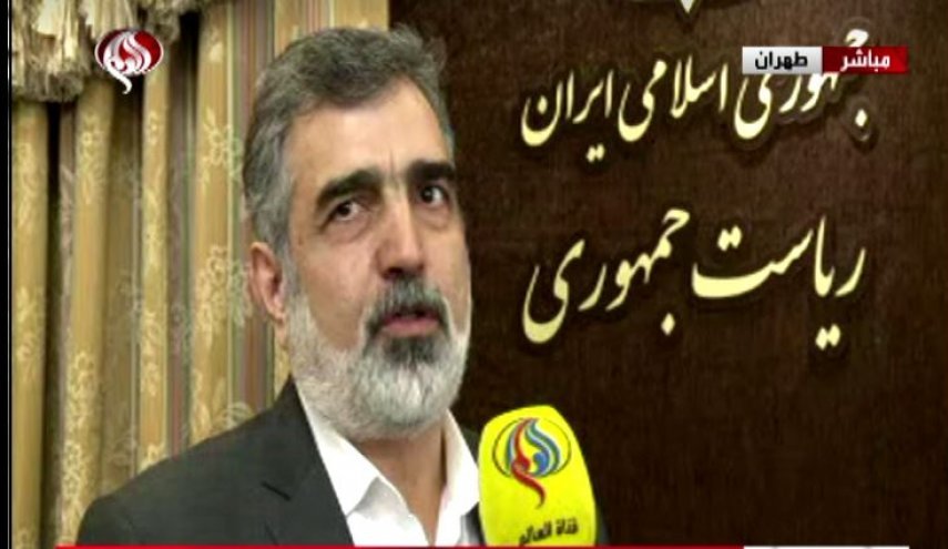 کمالوندی: ادامه غنی سازی به همکاری شرکای اروپائی بستگی دارد
