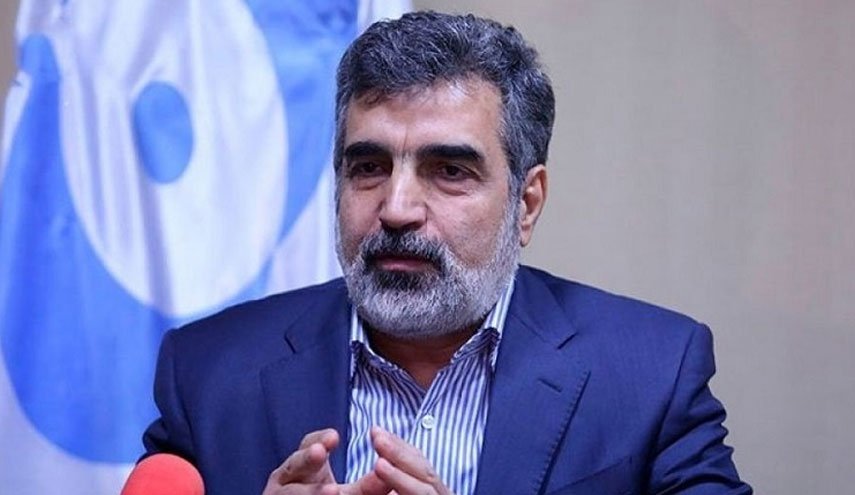ایران فعلا از غنی‌سازی 4.5 درصد عبور نمی‌کند/ در حال حاضر نیازی به غنی‌سازی در سطح 20 درصد نداریم
