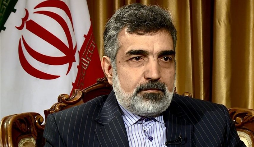 کمالوندی: برای گام سوم و چهارم آماده‌ایم/ افزایش سانتریفیوژ و غنی‌سازی جزو گزینه‌های ماست
