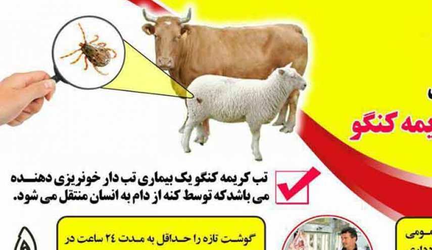 تب کریمه کنگو؛ بایدها و نبایدها