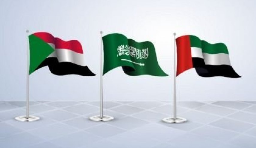 السعودية والإمارات ترسلان سفينة 'إنقاذ' عاجلة إلى السودان!