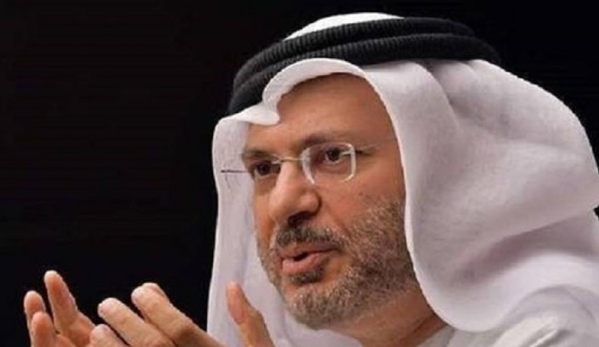 «انور قرقاش» خواستار آتش‌بس در عدن شد
