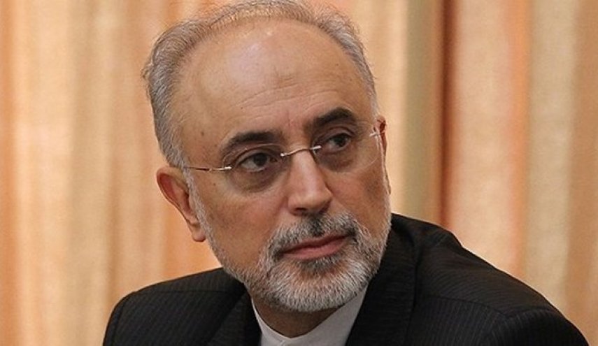 صالحی: در دو سه ماه آینده خبر خوبی درباره راکتور اراک اعلام می‌شود