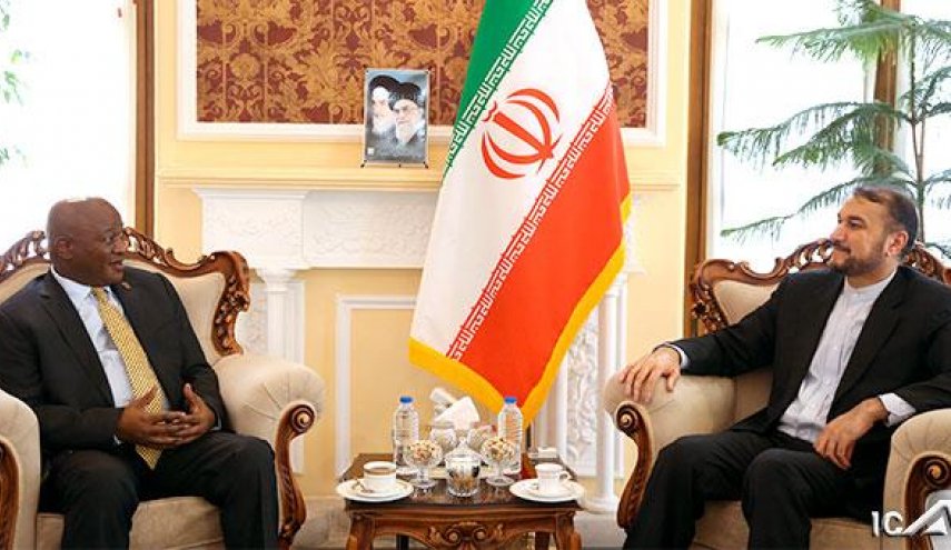 دیدار سفیر جدید آفریقای جنوبی با امیرعبداللهیان