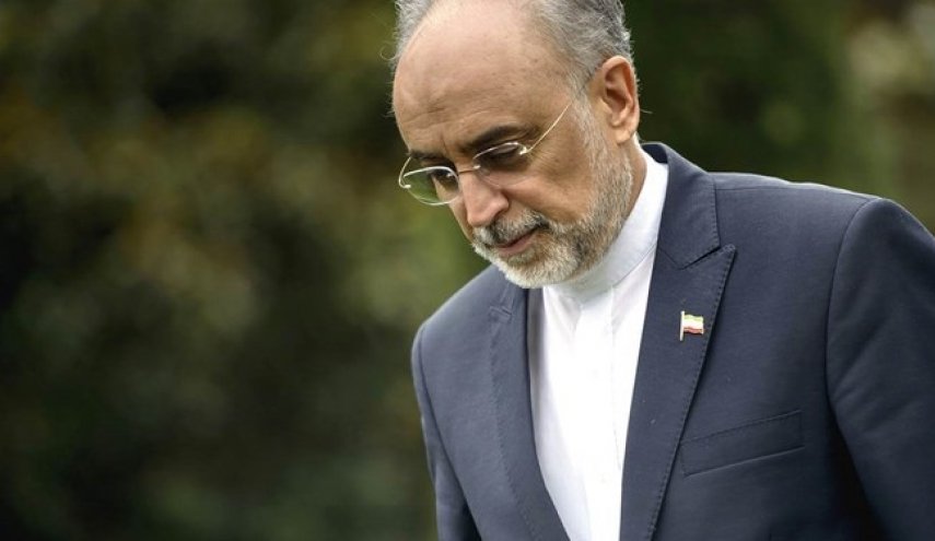 رئیس سازمان انرژی اتمی ایران وارد وین شد