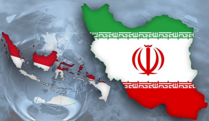 ايران واندونيسيا تحددان 14 فرصة جديدة للتعاون في مجال الصحة