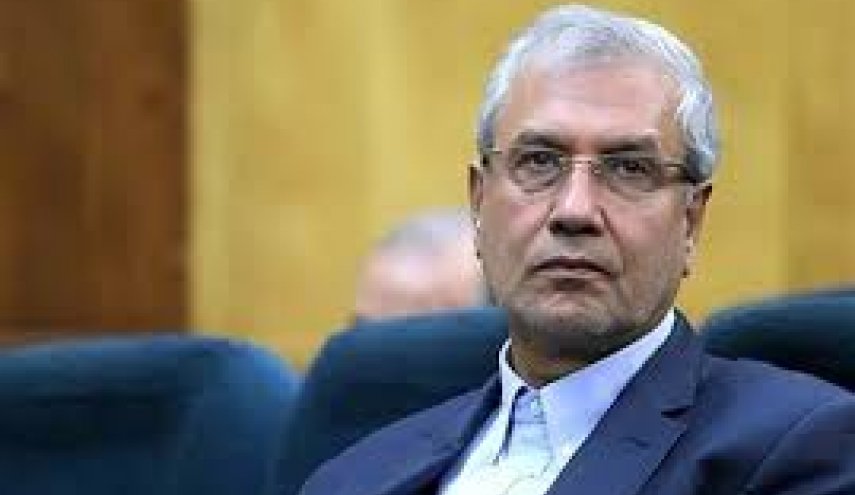 ربیعی: لایحه اعطای تابعیت بیشتر جنبه اخلاقی دارد تا حقوقی