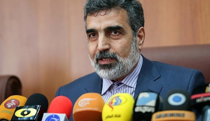 کمالوندی: مواد هسته‌ای فردا به «فردو» منتقل می‌شود