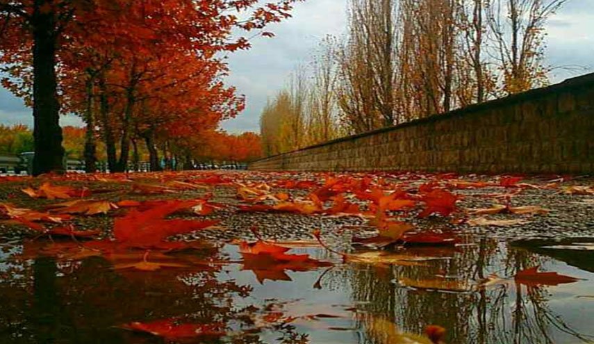 هشدار هواشناسی/ بارش شدید باران پاییزی در 4 استان کشور/ ایران بارانی می شود