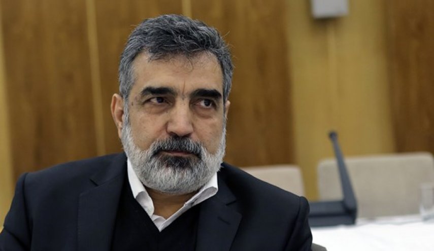 کمالوندی: آژانس نباید به اطلاعات جاسوسی استناد کند/ هرگونه درخواست دسترسی تکمیلی باید همراه دلایل آن باشد/ رژیم اسرائیل و امریکا آژانس را تحت فشار بسیار زیادی قرار داده‌اند