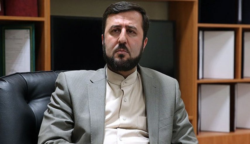 ماجرای کیف مشکوک بازرس زن آژانس و درخواست اخراج وی از ایران