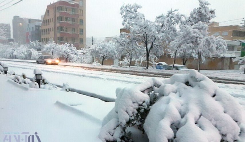 چطور از سرمای شدید جان سالم به در ببریم؟ 