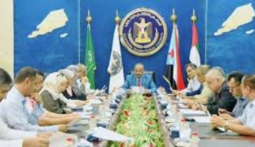 نیروهای مورد حمایت امارات از متحدان عربستان در یمن انتقاد کردند