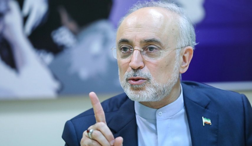 صالحی: غنی‌سازی با وجود لغو معافیت تحریمی فردو ادامه خواهد داشت/ خرابکاری‌ها برای توقف صنعت هسته‌ای ایران هیچ‌گاه محقق نشد
