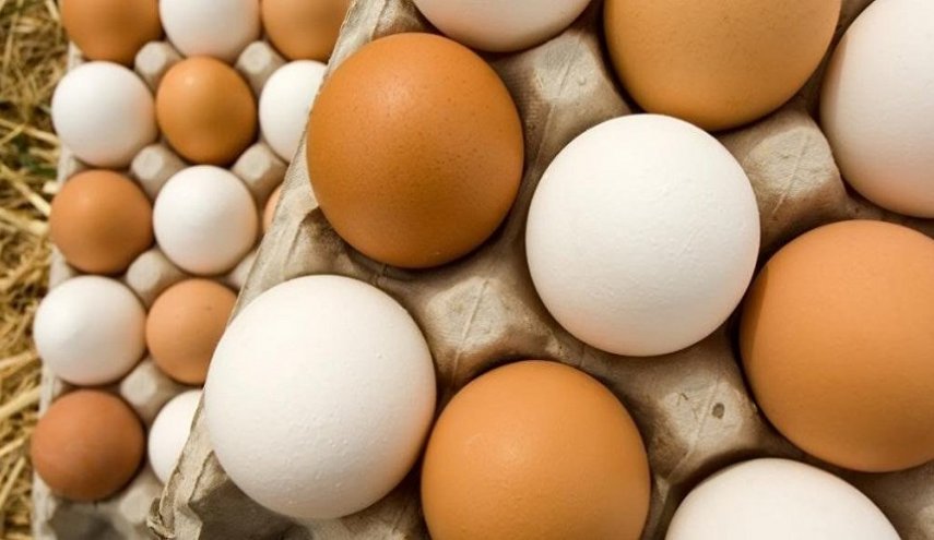 انتقمت منهم برائحتها... بيض صمد 1700 عام وكسره العلماء بالخطأ!