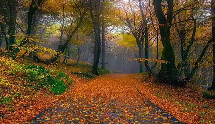کارشناس هواشناسی: برف و باران تا چهارشنبه ادامه دارد