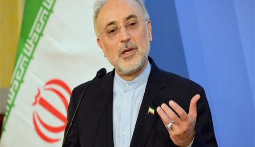 انتقاد صالحی از سیاست‌های آمریکا و یادآوری مسئولیت اروپا در برجام