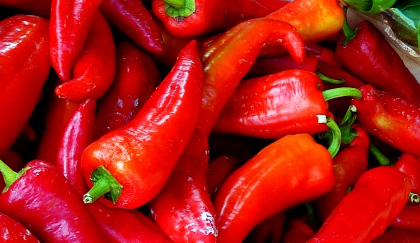 تعرف على 6 بدائل منشطة تغنيك عن القهوة