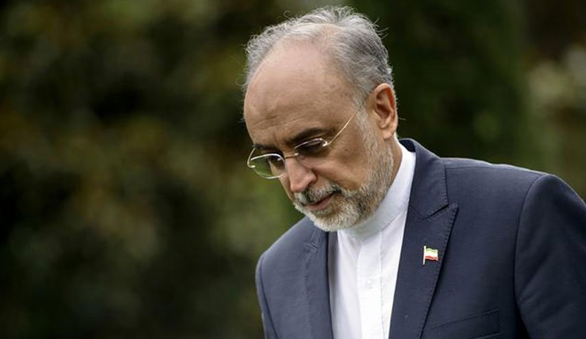 صالحی: شهادت حاج قاسم احیای مجدد مبارزه با استکبار است