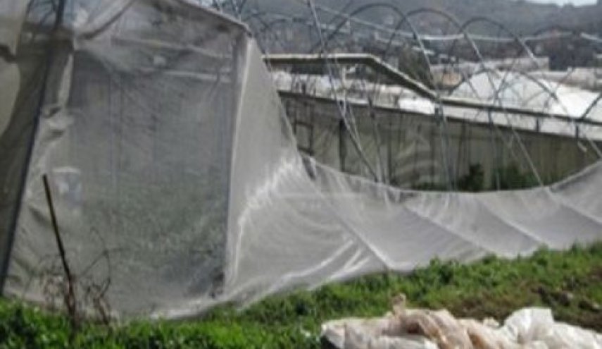 إعصار يضرب طرطوس ويخلف خسائر بعشرات الملايين