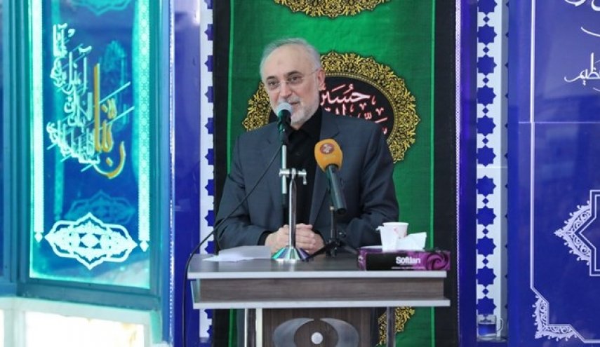 صالحی:سردار سلیمانی حیاتی دوباره به انقلاب بخشید
