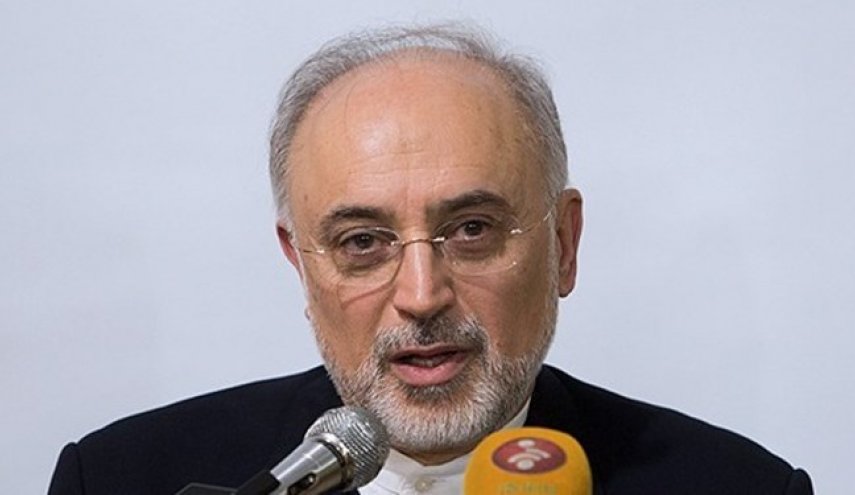 صالحی: آمریکا به خاطر از دست دادن فرزند ناخلفش اقدام به ترور سردار سلیمانی کرد
