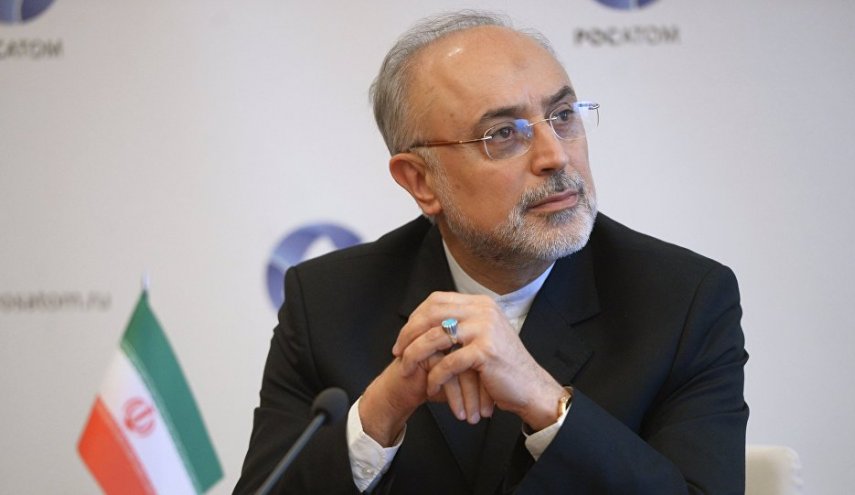 ايران تطالب الصين بالاسراع في اكمال مشروع مفاعل اراك 