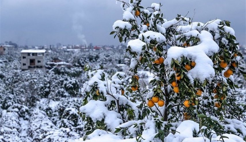 هواشناسی ایران ۹۸/۱۱/۲۲| تداوم بارش برف و کاهش ناگهانی دما در کشور