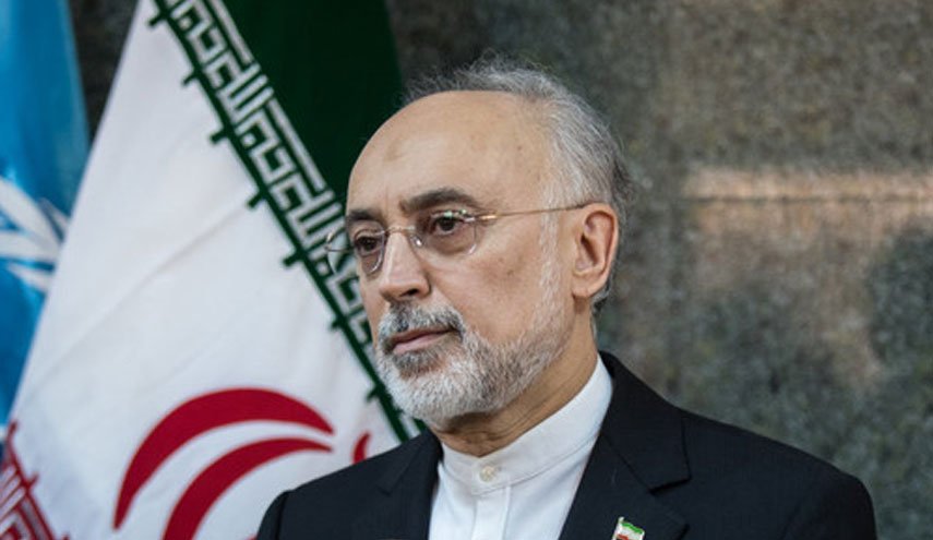 رییس سازمان انرژی اتمی رأی خود را به صندوق انداخت