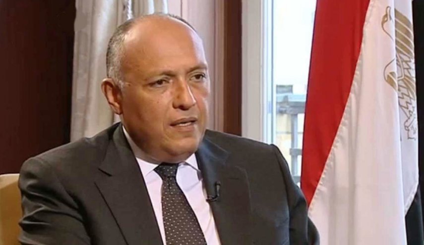 وزير الخارجية المصري يزور عدة دول عربية لتسليم رسالة من السيسي