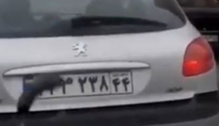 جزئیات پخش کلیپ بارش بادمجان/ پلیس امنیت: 5 نفر دستگیر شدند

