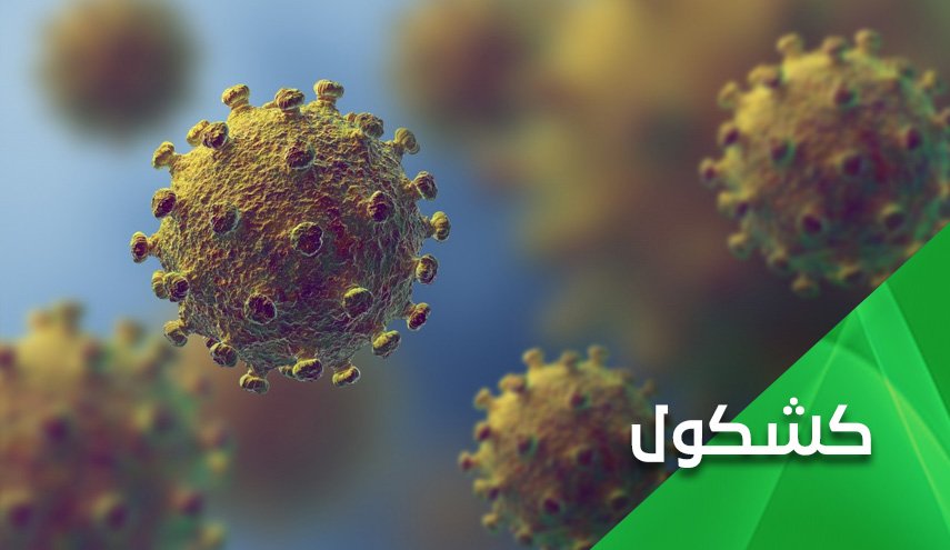 کرونا بین خفاش های چین و خفاش های آمریکا