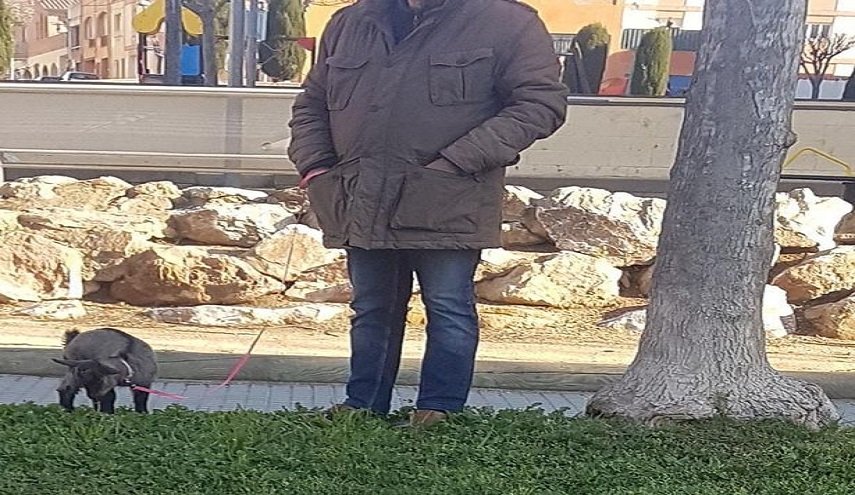 شاب اسباني يخرق إجراءات الحجر الصحي بسبب عنزة!