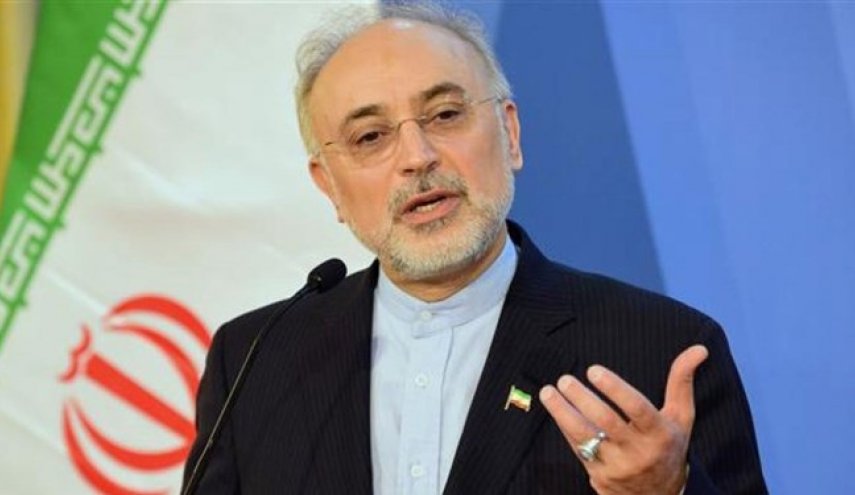صالحی خبر داد: ۱۲۲ دستاورد جدید سازمان انرژی اتمی در یک سال گذشته
