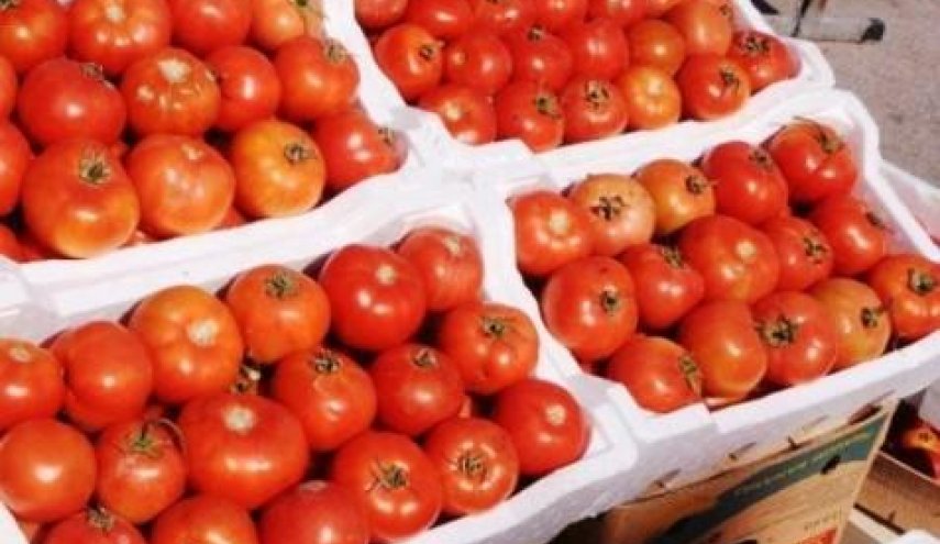 الأردن يوقف تصدير الغذاء