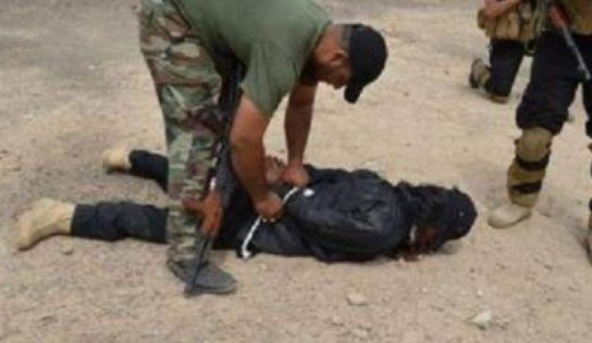 حشد شعبی یک تروریست داعشی را در الانبار به دام انداخت
