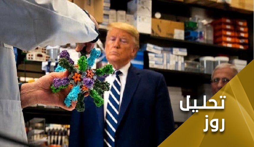 کله زرد آمریکایی و سرمایه گذاری روی کرونا!